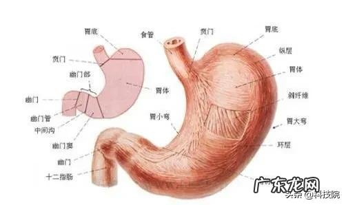 wanneng的网友,买到的中药没有效果。或者被商家提取过的,怎么办