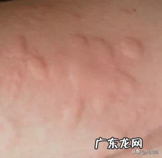 wanneng的网友,买到的中药没有效果。或者被商家提取过的,怎么办