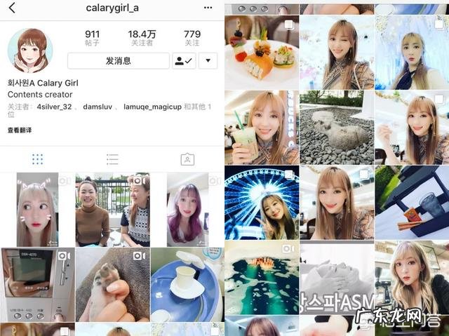 养拉布拉多好不好?可以随便养吗?