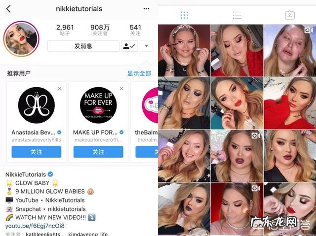 养拉布拉多好不好?可以随便养吗?