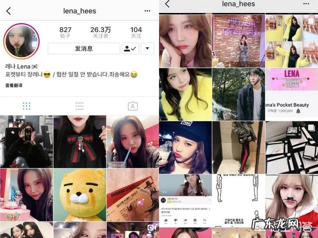 养拉布拉多好不好?可以随便养吗?