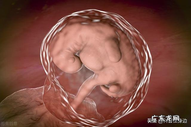 30条男性常识 关于男性的知识20条