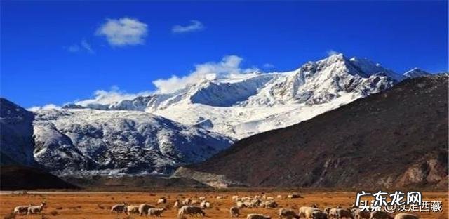 威廉.麦金利是一位什么样的总统麦金利总统为什么被暗杀