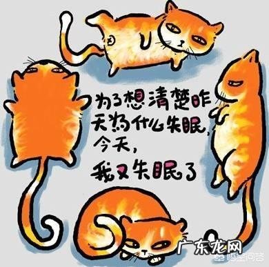 晚上很有睡意,就是睡不着怎么办