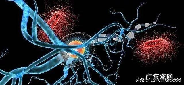 晚上很有睡意,就是睡不着怎么办