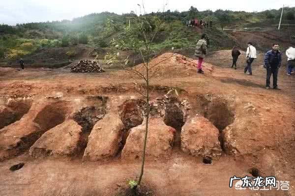 年过50的父母,要如何配置保险