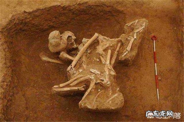 年过50的父母,要如何配置保险