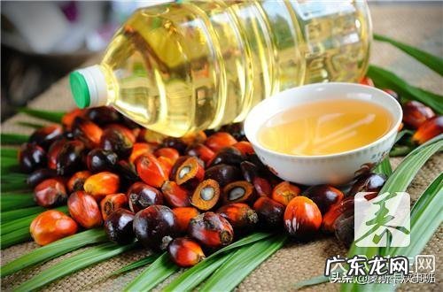 莲藕有七孔和九孔之分,有什么区别该怎么挑选