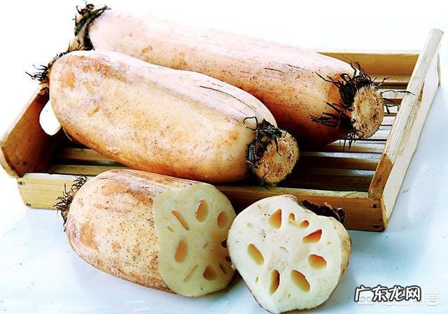 莲藕有七孔和九孔之分,有什么区别该怎么挑选