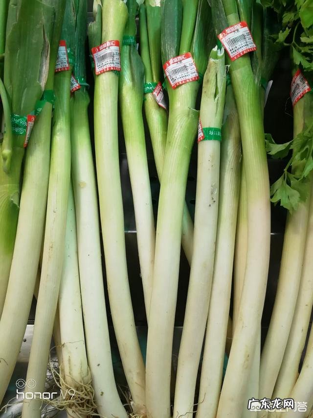 轻度高血压可以不吃药吗？锻炼和食疗可以吗？