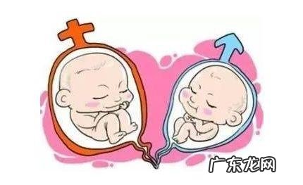 怀孕最后两个月体重一般增加多少?