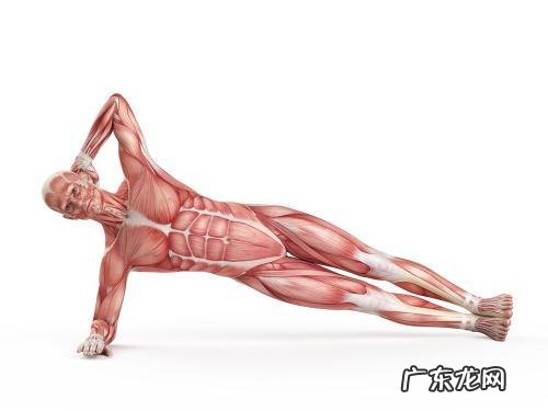 哪些动作对瘦腹是比较有效的