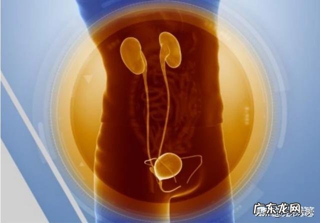 为什么有些人尿频总是要上厕所?该怎么办?