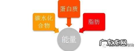 「有料研究室」6款网红代餐测评,好吃又减脂的健康餐怎么选?