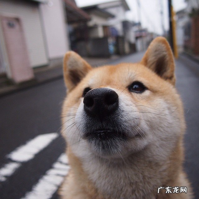 有哪些天然快速瘦脸秘方能快速瘦成瓜子脸