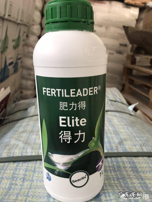 减肥后的连贯反应有多可怕