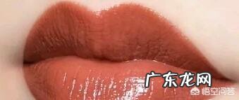有哪些蜜桃奶茶色的口红推荐