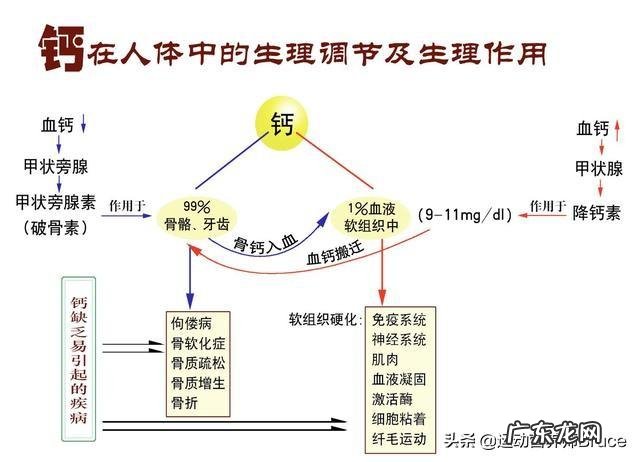红糖姜水真的能减轻月经期的疼痛吗