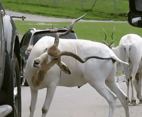 不开心的时候，有什么搞笑图片可以乐一乐