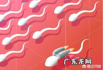 备孕期,准爸爸需要怎么调理身体