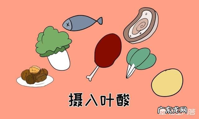 怀孕头三个月,孕妇一日三餐都吃什么