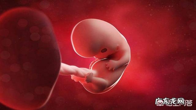 怀孕头三个月,孕妇一日三餐都吃什么