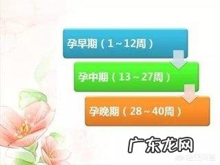 怀孕天数是从哪一天开始算的？