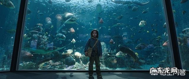 DC电影《海王》是温子仁导演的,温子仁很有名气吗如何评价他