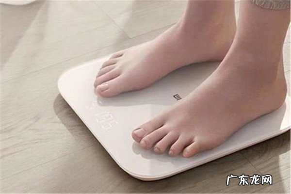 什么牌子的体重秤比较好啊？