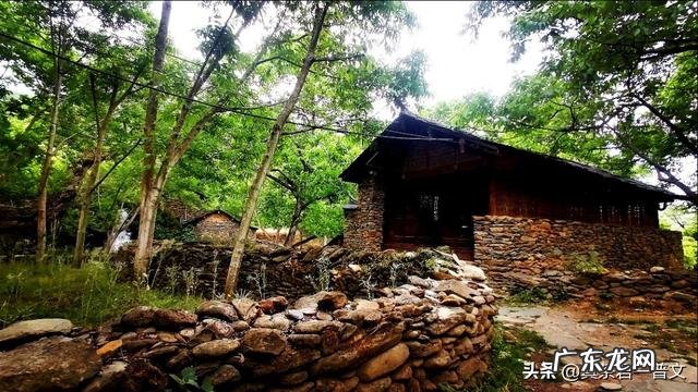 云南茶叶真的大量积压了吗是什么原因造成的低价茶不好卖