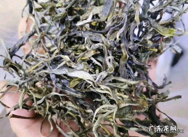 云南茶叶真的大量积压了吗是什么原因造成的低价茶不好卖