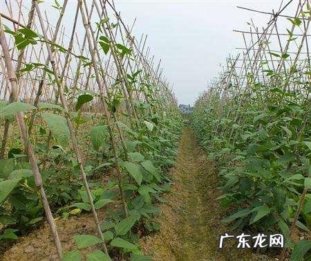 逛屈臣氏你最喜欢买的东西是什么