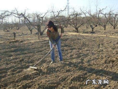 逛屈臣氏你最喜欢买的东西是什么