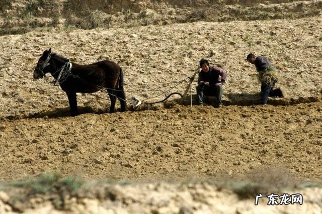 逛屈臣氏你最喜欢买的东西是什么