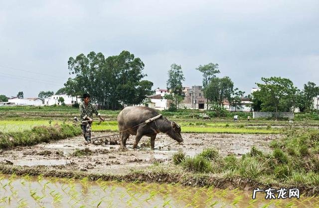 逛屈臣氏你最喜欢买的东西是什么