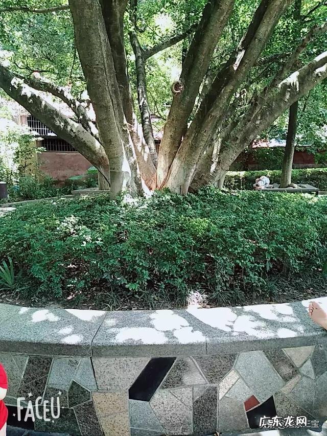 什么时候跑步最减肥,本人学生x?