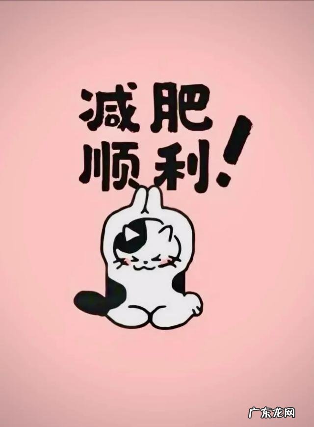 学生x建议轻断食吗对身体有损害吗