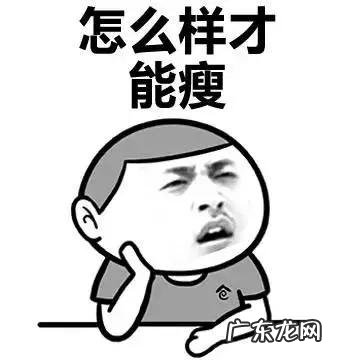 学生x建议轻断食吗对身体有损害吗