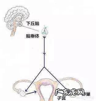 宝妈哺乳期减肥时，会不会对奶水产生影响呢你怎么看