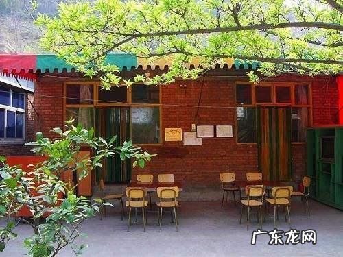 为什么越来越多的多羡慕农村生活？