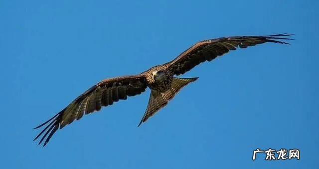 一个从小就被娇生惯养的孩子以后能努力吗?