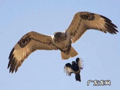 一个从小就被娇生惯养的孩子以后能努力吗?