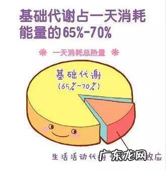 不少吃饭，不吃药，怎么能瘦下来