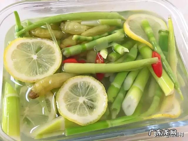 竹笋可以放到冰箱里冷冻吗怎么保存好