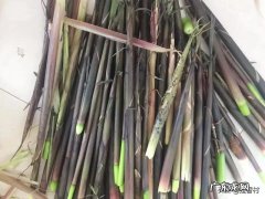 竹笋可以放到冰箱里冷冻吗怎么保存好