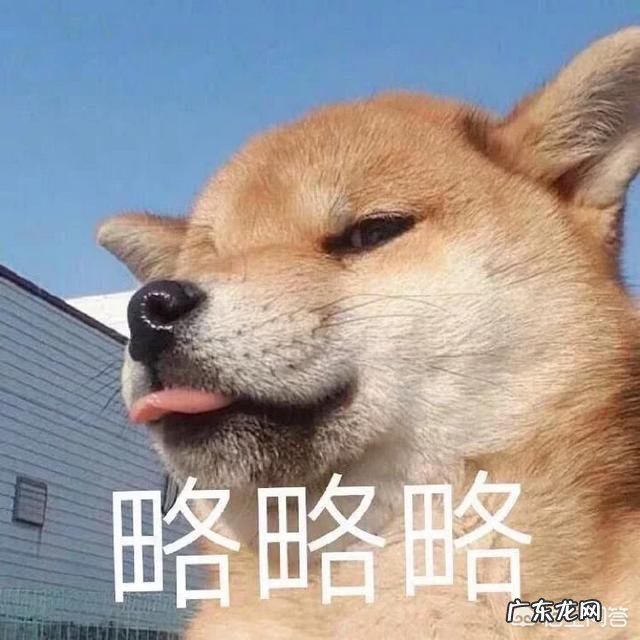 名创优品 MINISO家有什么好用的东西吗