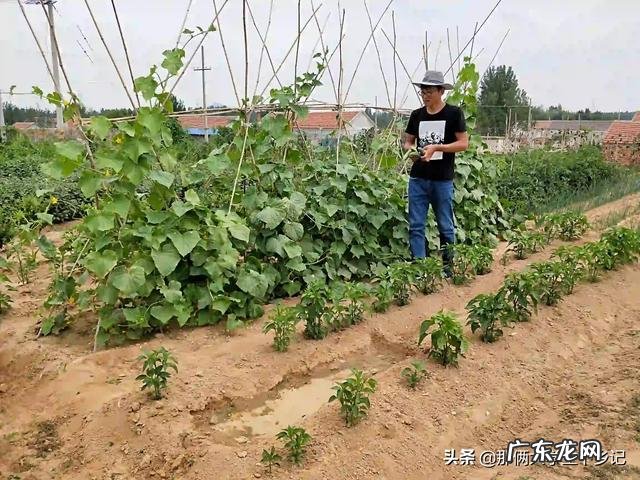 你会不会讨厌农村生活的方式?