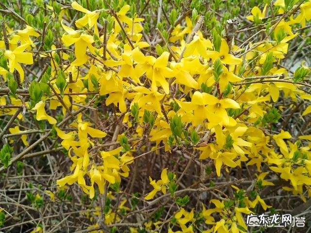 你会不会讨厌农村生活的方式?