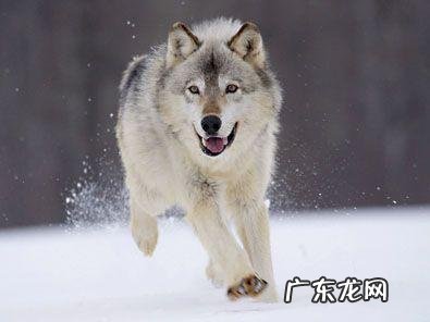 这才是男人该有的样子完整版 男人一定要有男人样