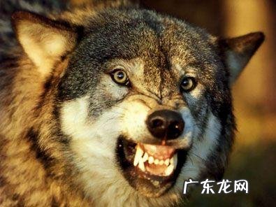 这才是男人该有的样子完整版 男人一定要有男人样